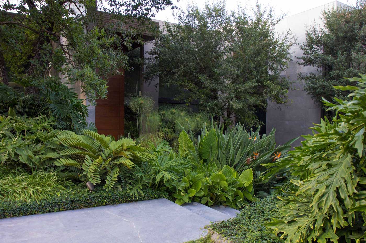 Vivero en San Pedro